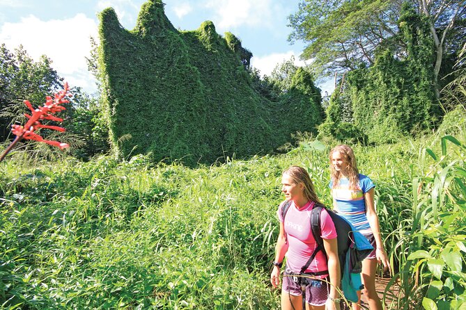 Kauai: Secret Falls Kayak and Hike - From paddle to muddy rainforest trail