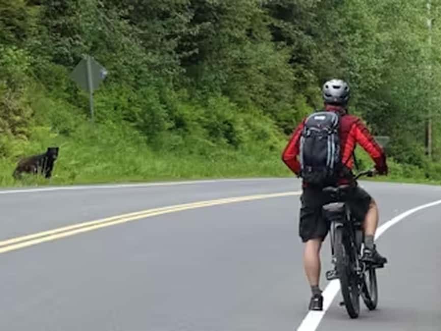Ketchikan: E-Bike and Hike Tour - Entering Tongass National Forest on Foot