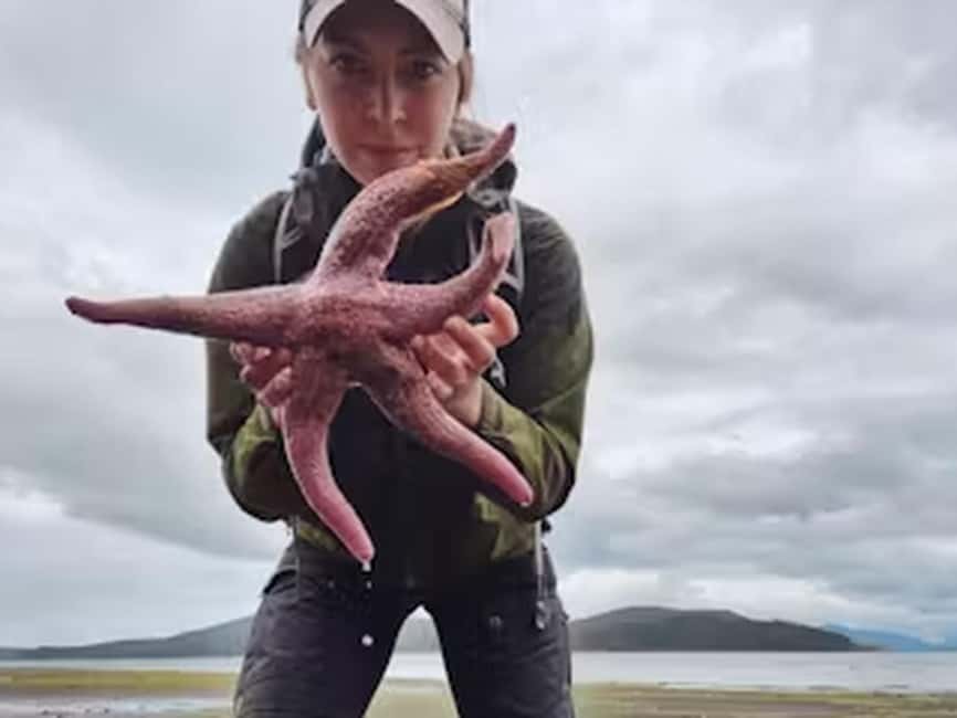 Ketchikan: E-Bike and Hike Tour - Wildlife Along the Road and Shore
