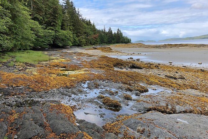Ketchikan Electric Bike and Rain Forest Hike Ecotour - Smoked salmon, vegan choices, and a wet-weather plan