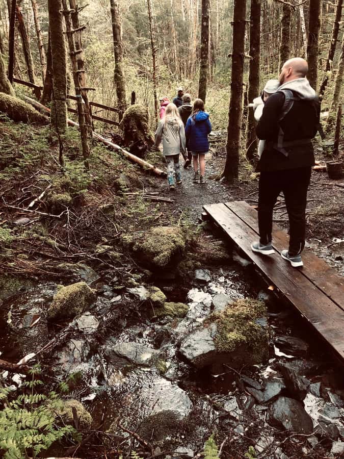 Ketchikan: Tongass Forest Alaska Bigfoot ATV Ride and Hike - From Ketchikan’s docks to the Tongass forest