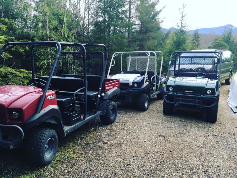 Ketchikan: Tongass Forest Alaska Bigfoot ATV Ride and Hike - A short UTV ride into the trees