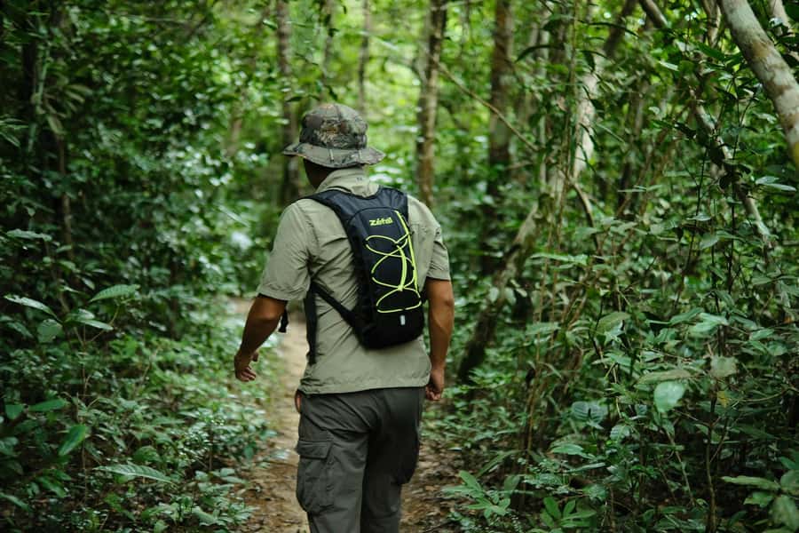Khao Sok: Private Day Trekking, Jungle Dinner & Night Safari - Key points to know before booking