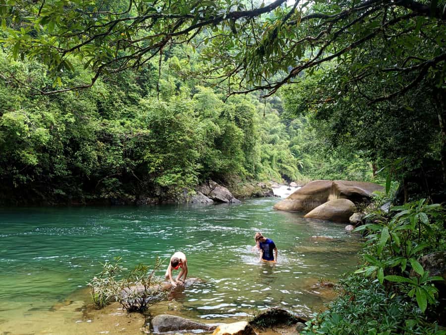 Khao Sok: Private Day Trekking, Jungle Dinner & Night Safari - Two hours on the forest trail