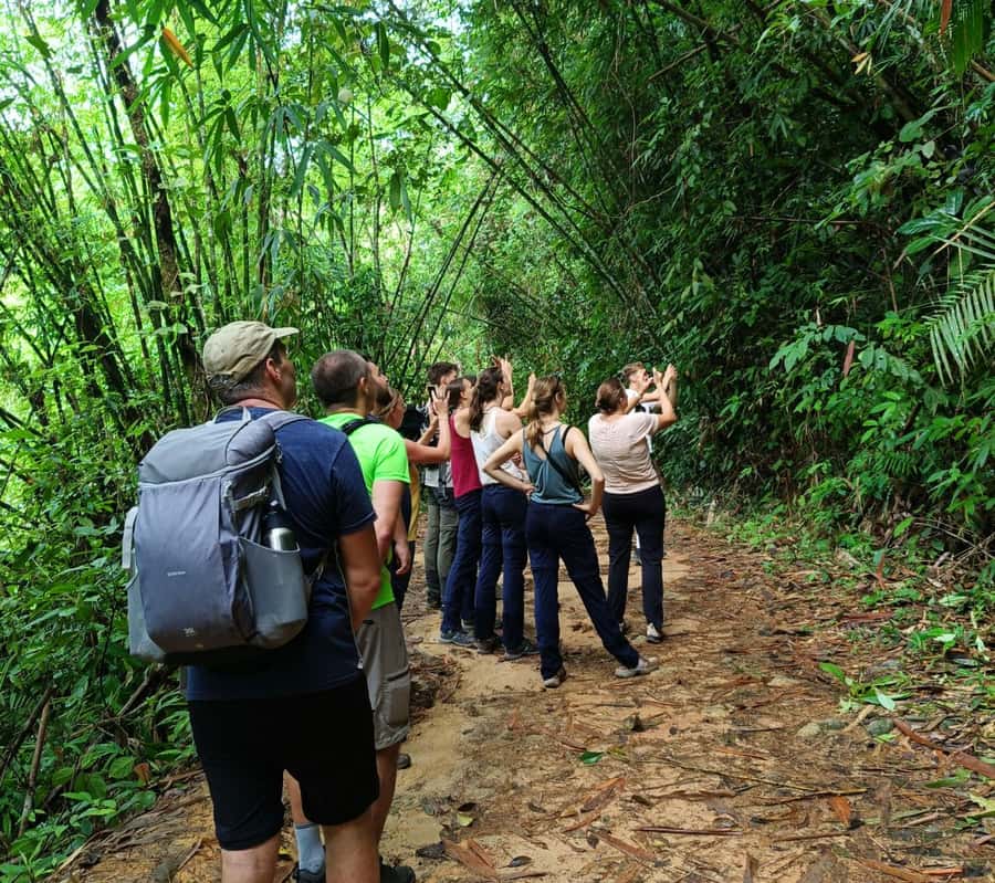 Khao Sok: Private Day Trekking, Jungle Dinner & Night Safari - The waterfall and river swimming stop
