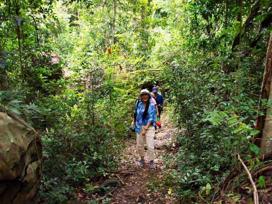 Khao Sok: Private Jungle Trek, Waterfall Swim & Bamboo Lunch - Key points to know before you book