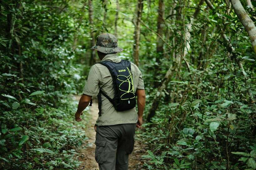 Khao Sok: Private Waterfalls and Wildlife Half-Day Trek - Why a guide matters in Khao Sok