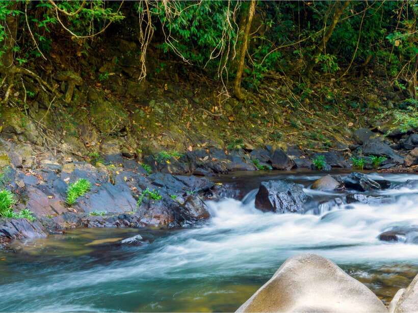 Khao Sok: Private Waterfalls and Wildlife Half-Day Trek - Private or small group: which option suits you?