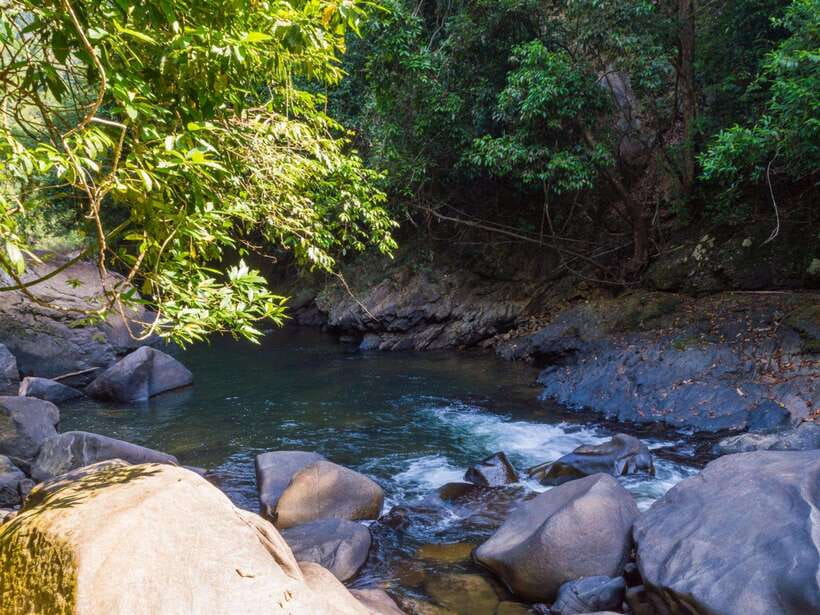 Khao Sok: Private Waterfalls and Wildlife Half-Day Trek - Is $48 good value?