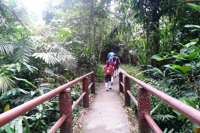Khao Yai National Park Hiking Day Tour: Haew Narok and Haew Suwat - Thai lunch and the Khao Yai Visitor Centre