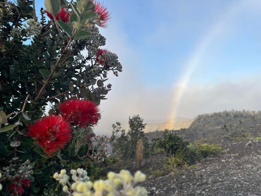 Kīlauea hike and lava gazing with Native Hawaiian - Practical preparation for Kīlauea