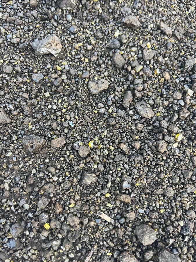Kīlauea hike and lava gazing with Native Hawaiian - Should you book the Kīlauea hike?