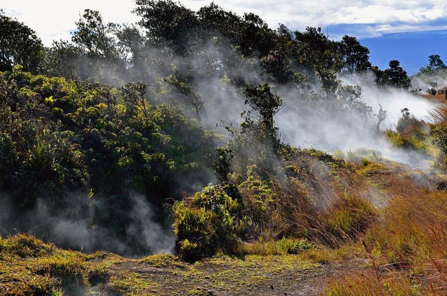 Kilauea: Volcanoes National Park Guided Hike - Who should book this experience?