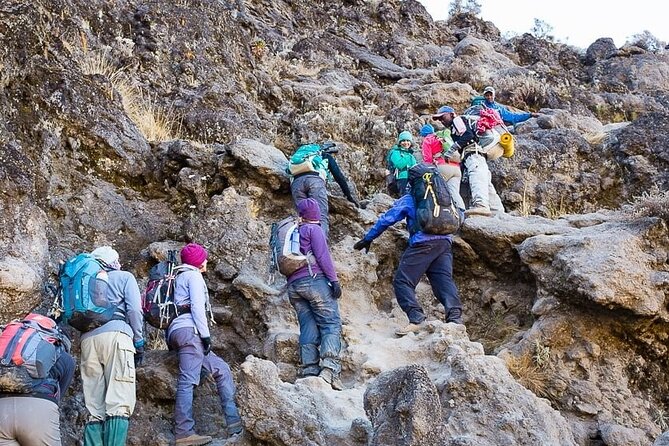 Kilimanjaro 7 Day Private Trekking Experience - Day 7: Mweka Gate, a shower, and a certificate