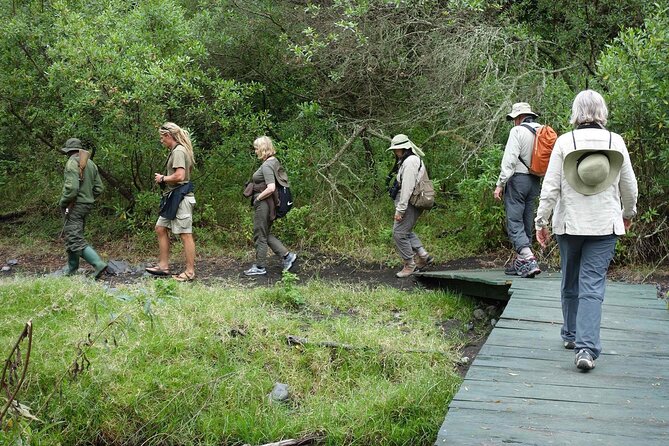 Kilimanjaro Private 2 Days Hiking Tour - Maundi Crater on the second morning