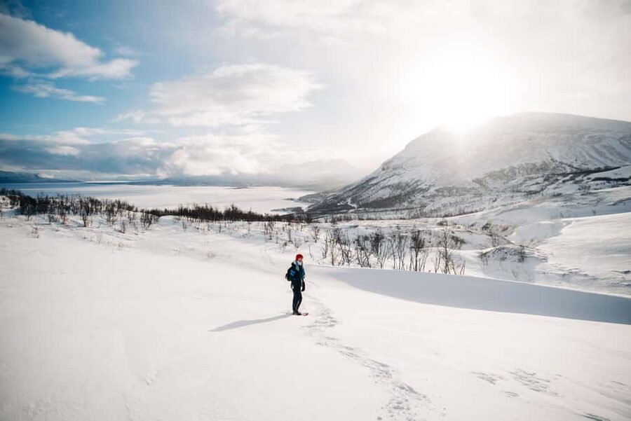 Kiruna: Daytime Snowshoe Hike - Key points to know before you go