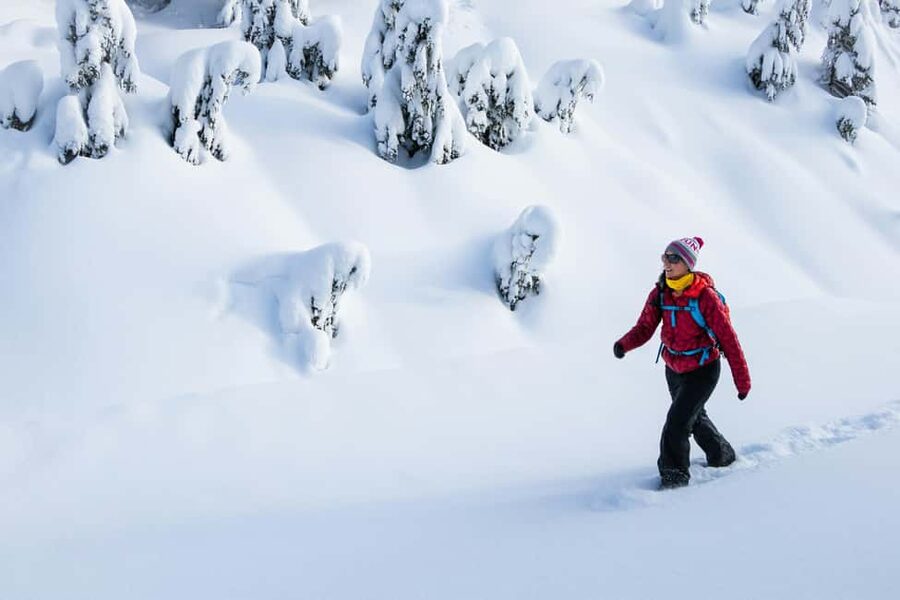 Kiruna: Daytime Snowshoe Hike - The warm lingonberry drink is a small but smart touch