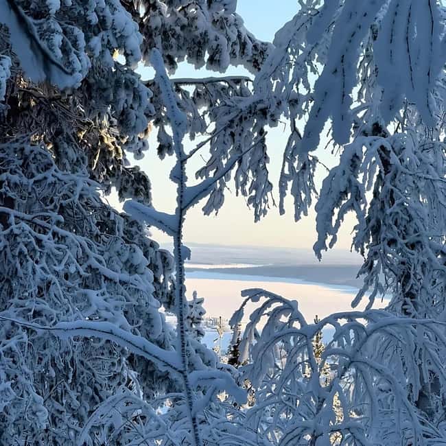 Kiruna: Daytime Snowshoe Hike - Who will enjoy this Kiruna activity most?
