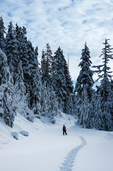 Kiruna: Daytime Snowshoe Hike - The van pickup makes a remote-feeling outing easier