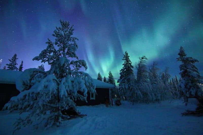 Kiruna: Snowshoe Trek with Aurora Hunt and Warm Beverage - At a Glance