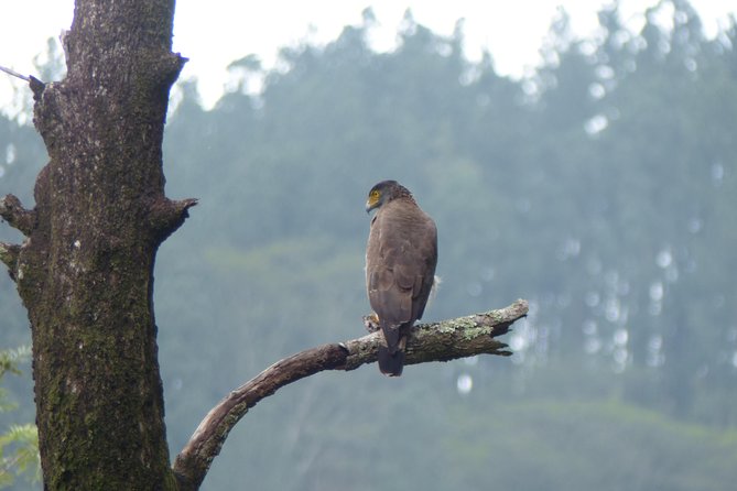 Knuckles Spice Trail Trek from Kandy - Key points at a glance