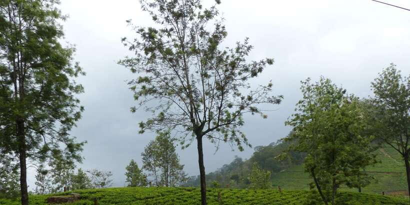 Knuckles Spice Trail Trek from Kandy - Is the Knuckles Spice Trail good value from Kandy?