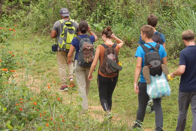 Knuckles Spice Trail Trek from Kandy - Pine, eucalyptus, and spice forest