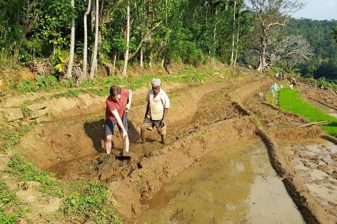 Knuckles Spice Trail Trek from Kandy - A fresh village lunch