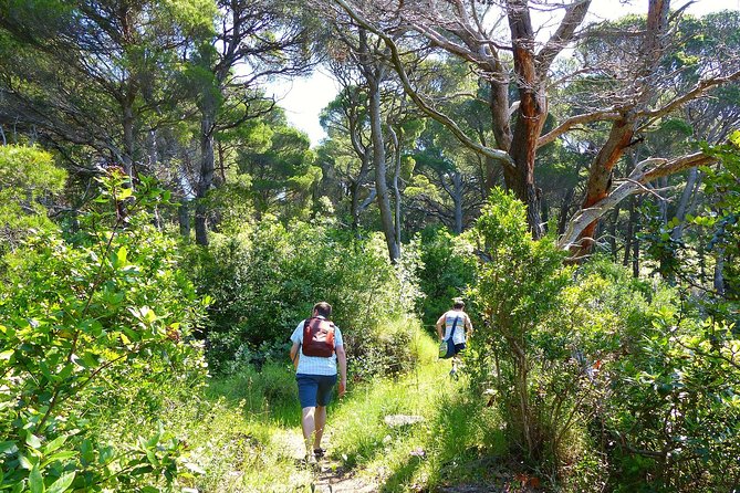 Kolocep Island Hiking and Swimming Full Day Trip from Dubrovnik - The secluded swim and optional 20-foot jump