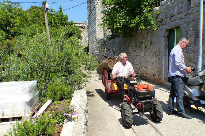 Kolocep Island Hiking and Swimming Full Day Trip from Dubrovnik - Practical details to settle before departure