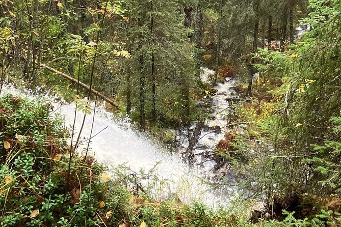 Korouoma Canyon: Frozen Waterfalls Hike & BBQ Experience - Walking the 5-kilometer canyon route
