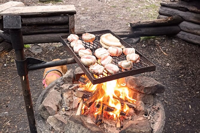Korouoma Canyon: Frozen Waterfalls Hike & BBQ Experience - Frozen waterfalls and forest views