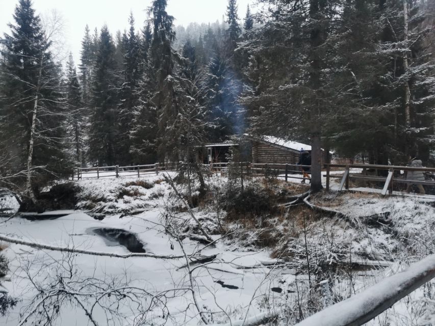 Korouoma Canyon Frozen Waterfalls Hike & Private Teepee BBQ - Key points before you book
