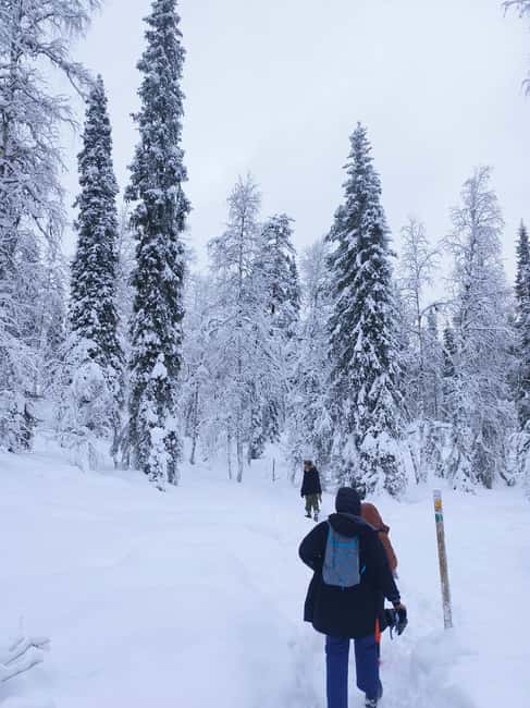 Korouoma Canyon Frozen Waterfalls Hike & Private Teepee BBQ - The Rovaniemi pickup and ride into the wilderness