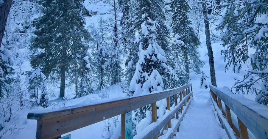 Korouoma: Frozen Waterfall Hiking Tour - Key points to know before you book