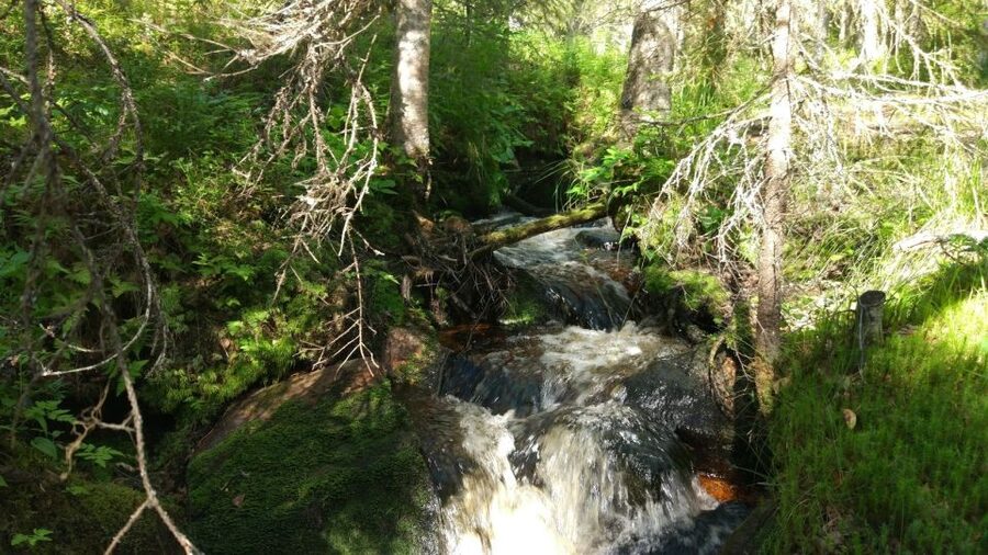 Korouoma National Park Guided Hike with Snacks - The 1-hour-20-minute ride from Rovaniemi