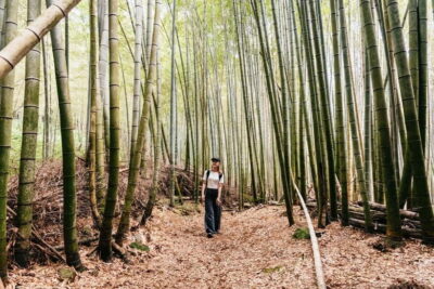 3-Hour Fushimi Inari Shrine Hidden Hiking Tour
