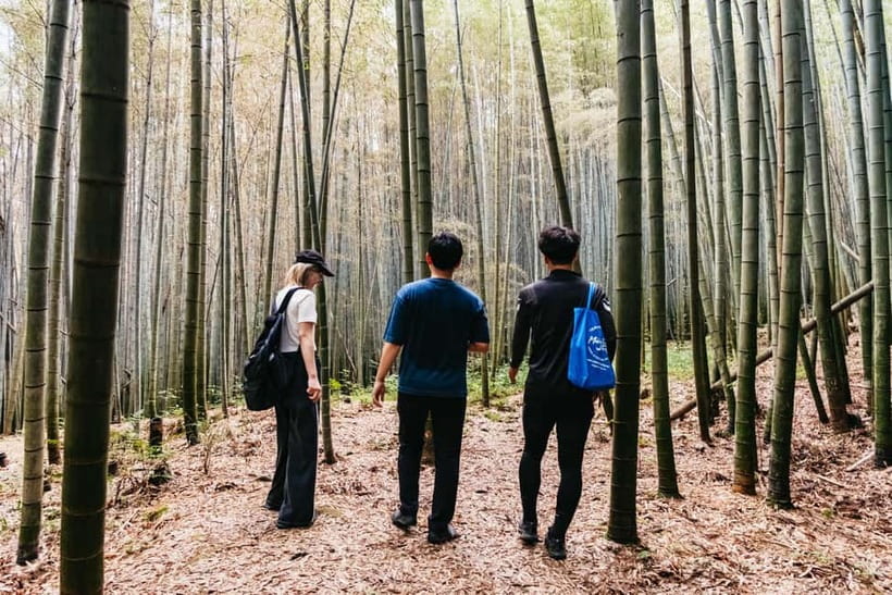 Kyoto: 3-Hour Fushimi Inari Shrine Hidden Hiking Tour - Climbing Mount Inari through the torii gates
