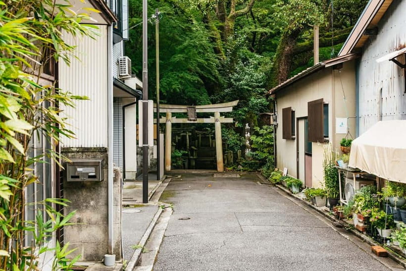 Kyoto: 3-Hour Fushimi Inari Shrine Hidden Hiking Tour - Summit altars, forest shade, and the return route