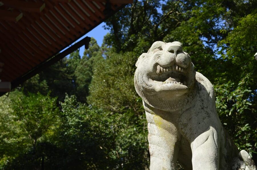 Kyoto: Hike and Hot Springs in Kurama - Should you book the Kurama hike?
