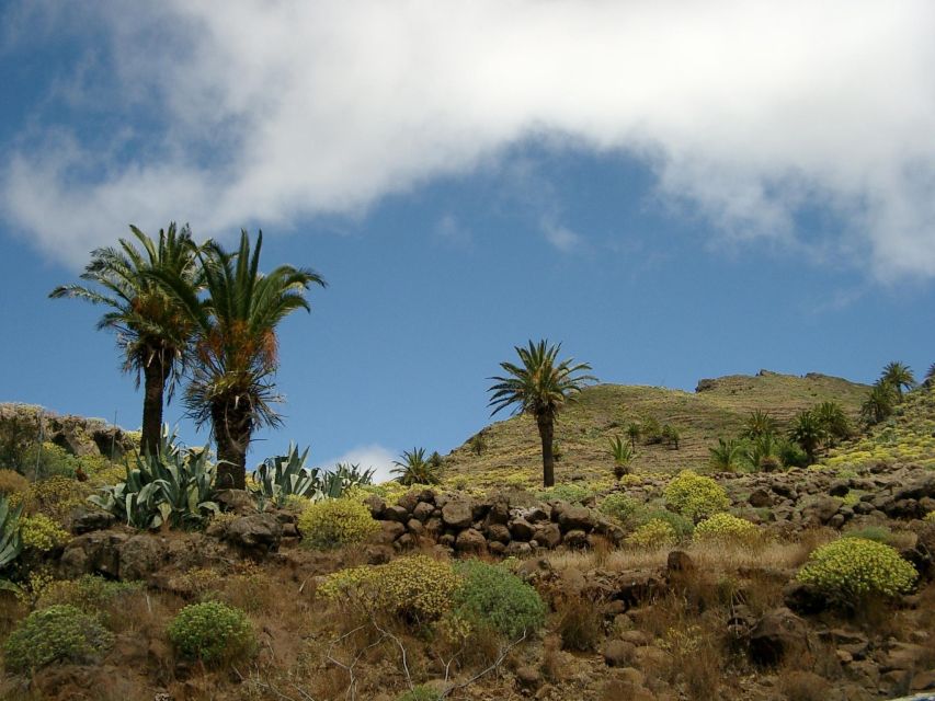La Gomera: Guided Hiking Tours from Valle Gran Rey - What the half-day itinerary feels like