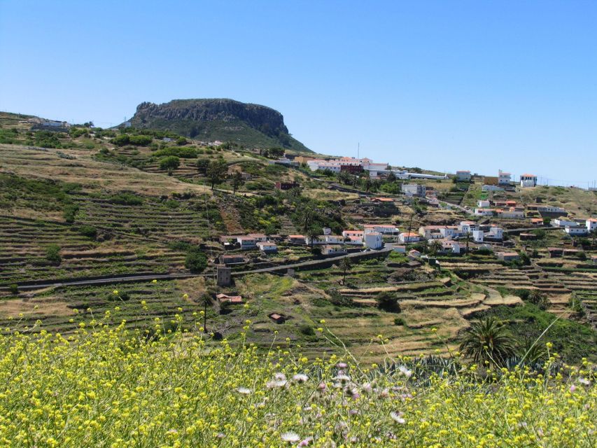 La Gomera: Guided Hiking Tours from Valle Gran Rey - Choosing the right day by its elevation