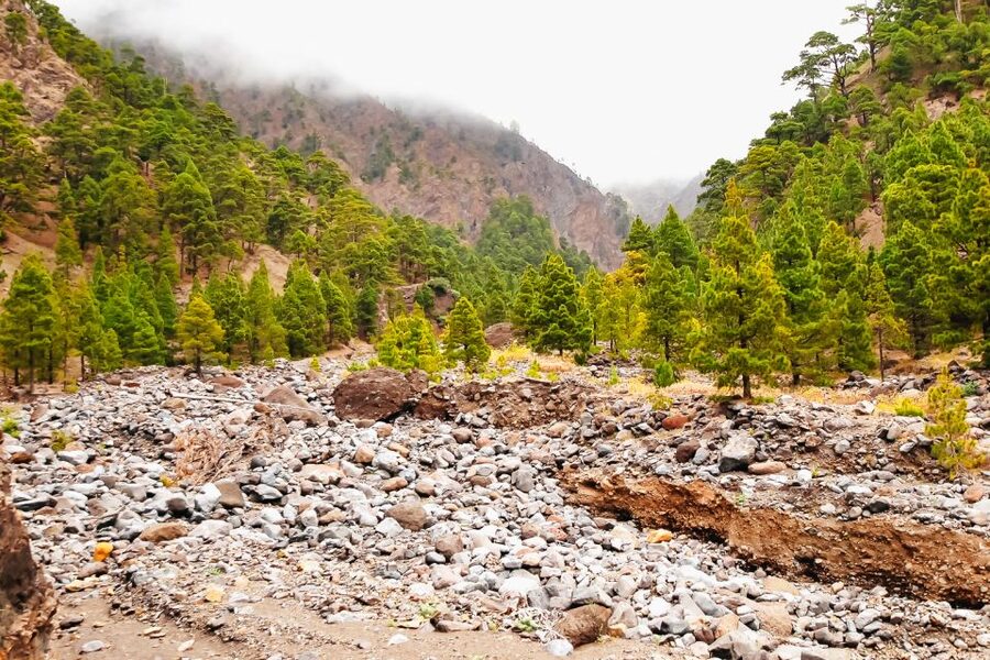 La Palma: Caldera de Taburiente National Park Guided Hike - Why Caldera de Taburiente makes a strong hiking day