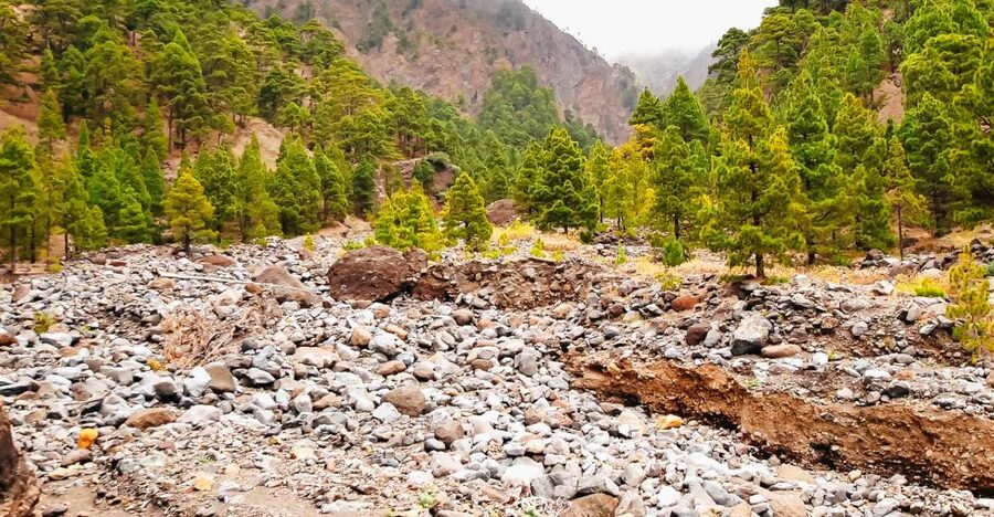 La Palma: Caldera de Taburiente National Park Guided Hike - Starting high at the Los Brecitos viewpoint