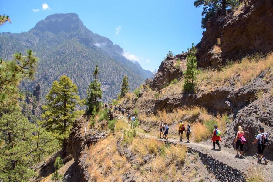La Palma: Caldera de Taburiente National Park Guided Hike - From the island bus to Los Brecitos