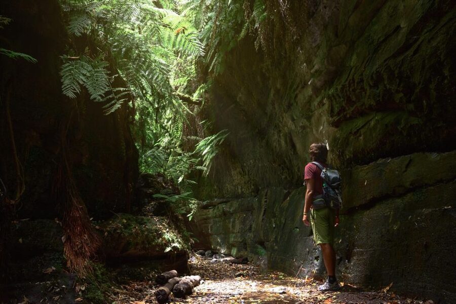 La Palma: Guided Trekking Tour To Cubo de la Galga - Why Cubo de la Galga feels unlike a normal island walk