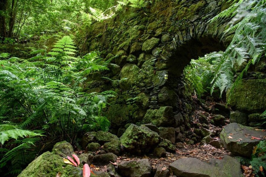La Palma: Guided Trekking Tour To Cubo de la Galga - Should you book the Cubo de la Galga tour?