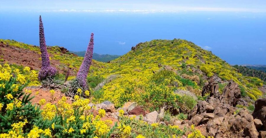 La Palma: Guided Trekking Tour to El Roque de los Muchachos - Key points at a glance