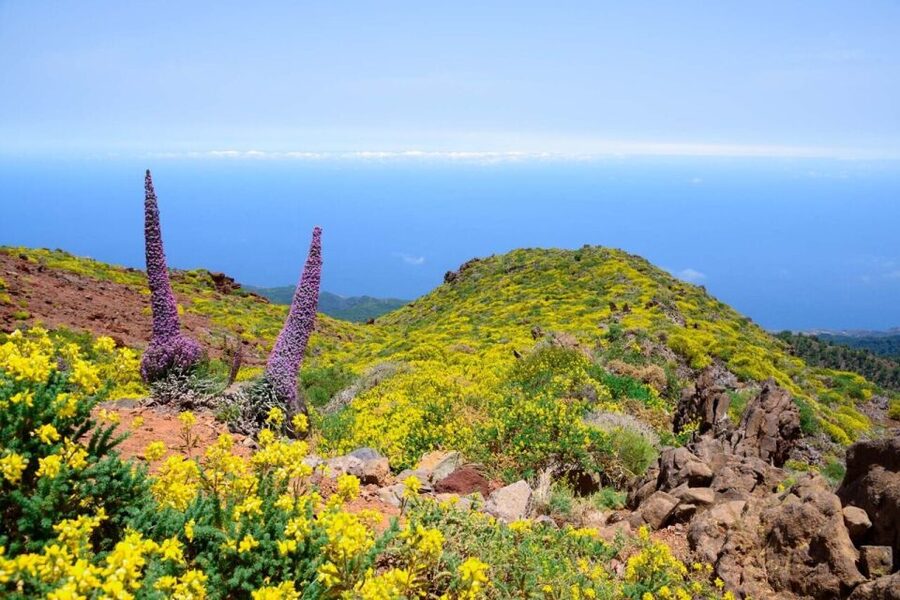 La Palma: Guided Trekking Tour to El Roque de los Muchachos - Reaching La Palma’s 2,426-meter summit