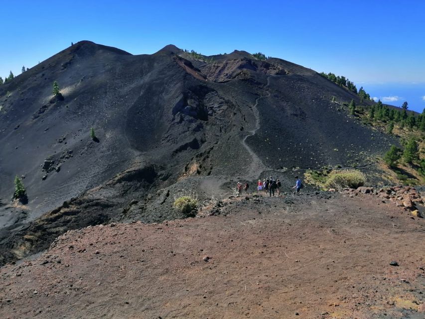 La Palma: Guided trekking tour to volcanoes south - Key points to know before you book